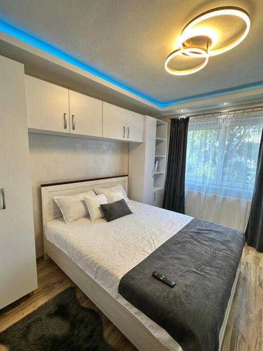Stylish Apartment In Dambu Târgu-Mureş Exteriör bild
