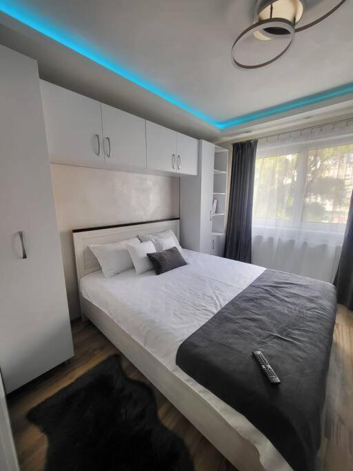 Stylish Apartment In Dambu Târgu-Mureş Exteriör bild